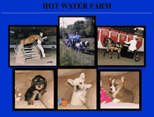 Tablet Screenshot of hotwaterfarm.com